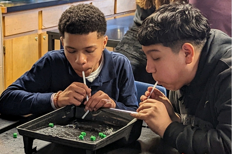 Two Jackson Preparatory & Early College middle school students are engaged in a science experiment using straws to move objects around a tray.